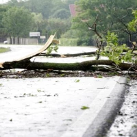 Storm Damage Cleanup 0